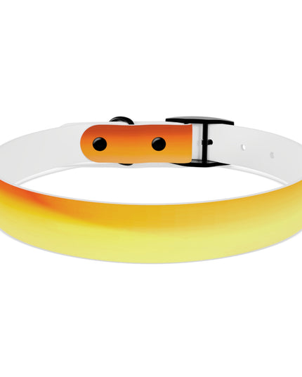Phoenix Fade Large Dog Collar