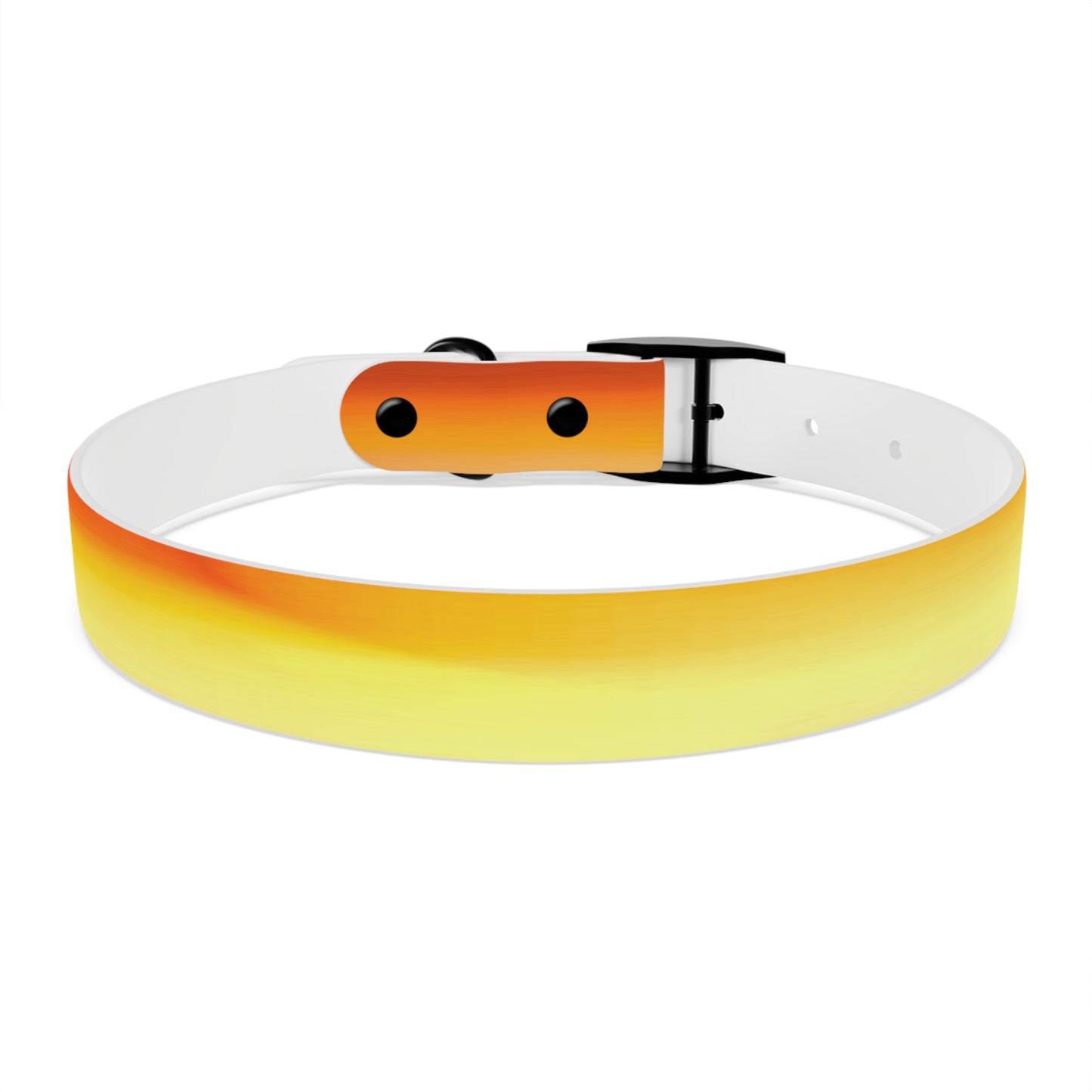 Phoenix Fade Large Dog Collar