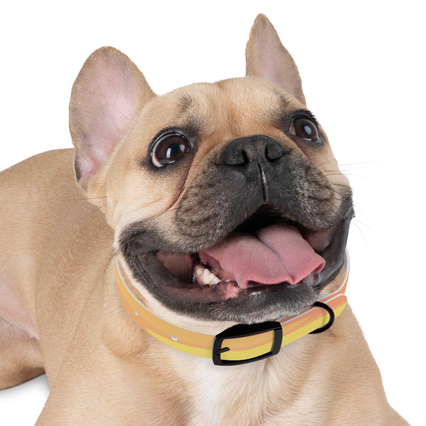 Pastel Bright Oranges Patches Small Dog Collar