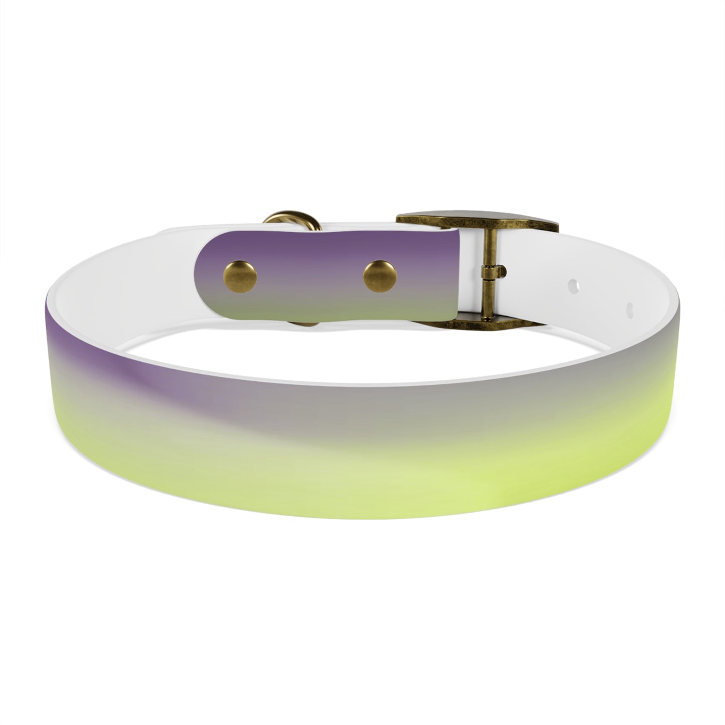 Purple Golden Fade Medium Dog Collar