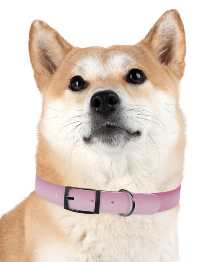 Pink Blush Fade Large Dog Collar