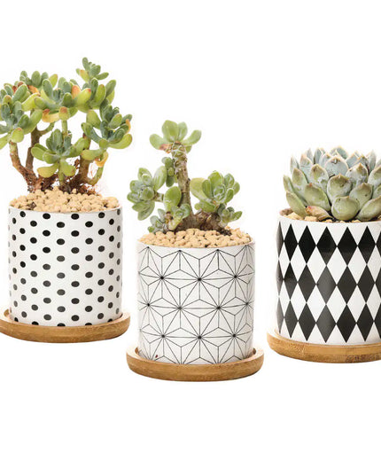 B&W Planters Set of 3