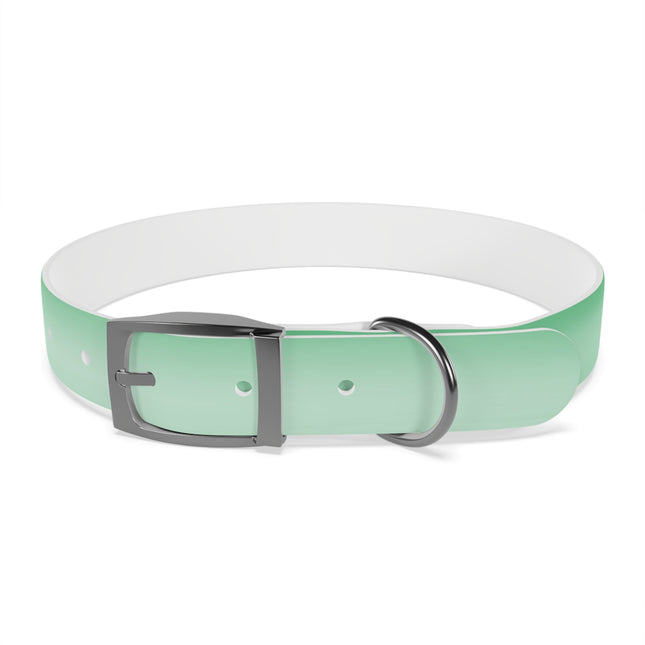 Mint Fade Large Dog Collar