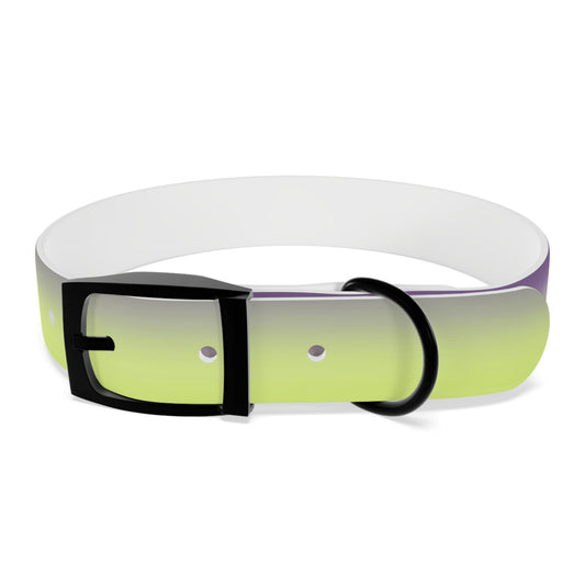 Purple Golden Fade Medium Dog Collar