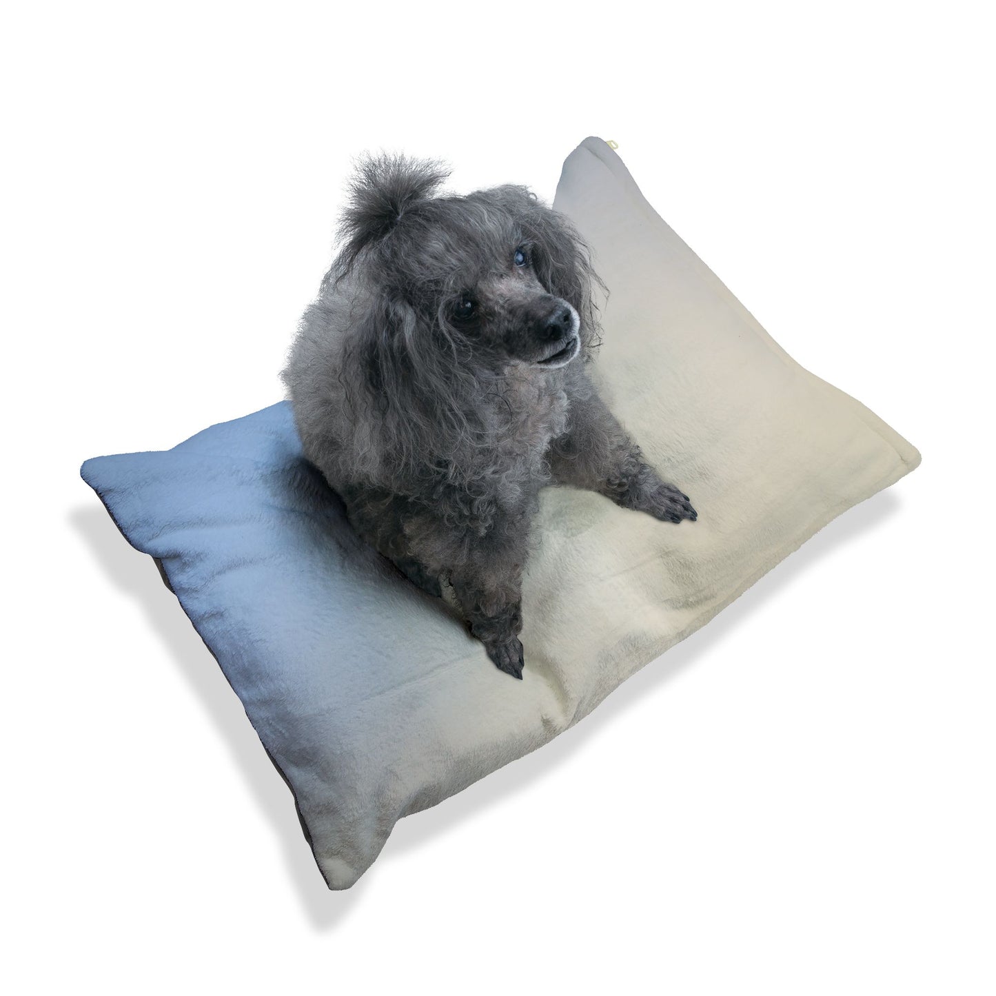 Cobalt Fade 50" × 40" Pet Bed