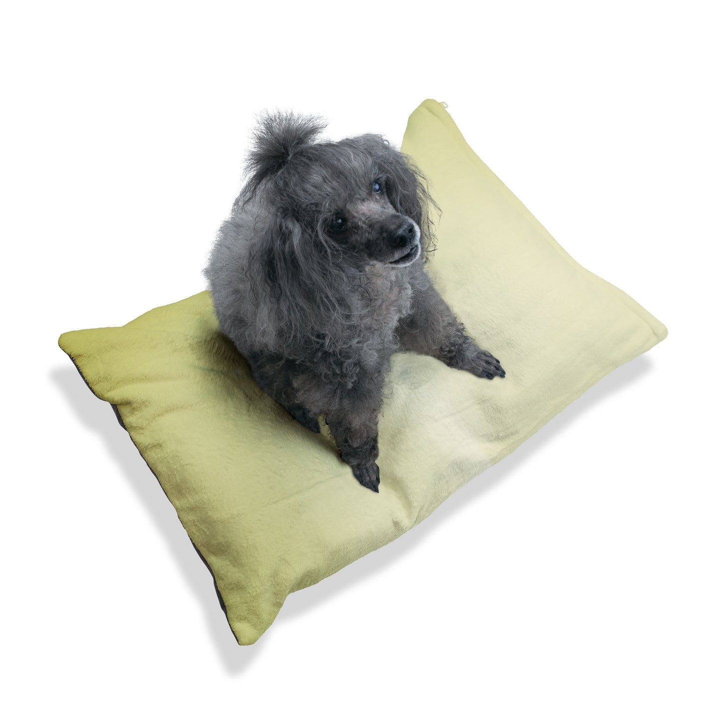 Lemon Fade 50" × 40" Pet Bed