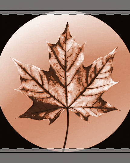 Soft Maple Leaf 10" x 10" Cotton Twill Napkin