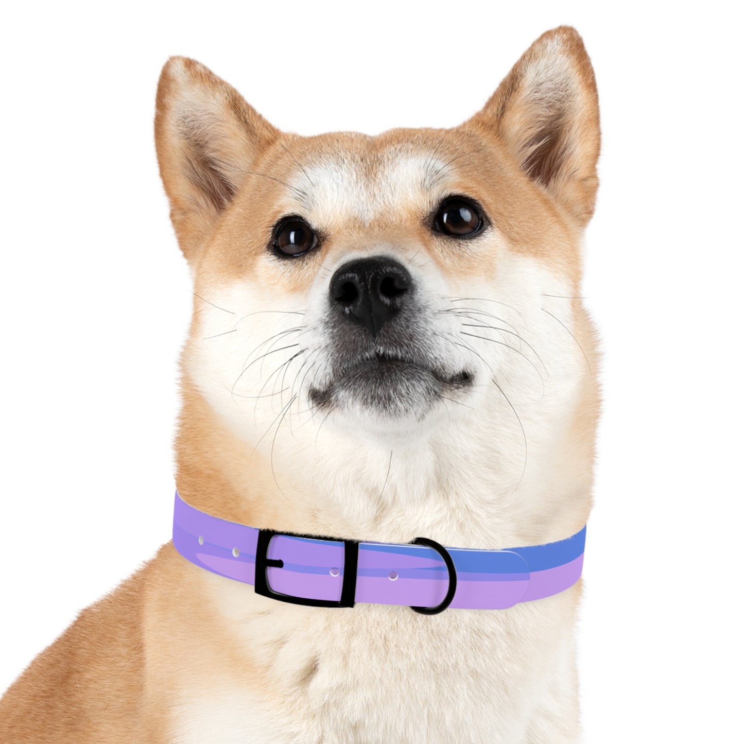 Pastel Purple Family Patches Large Dog Collar