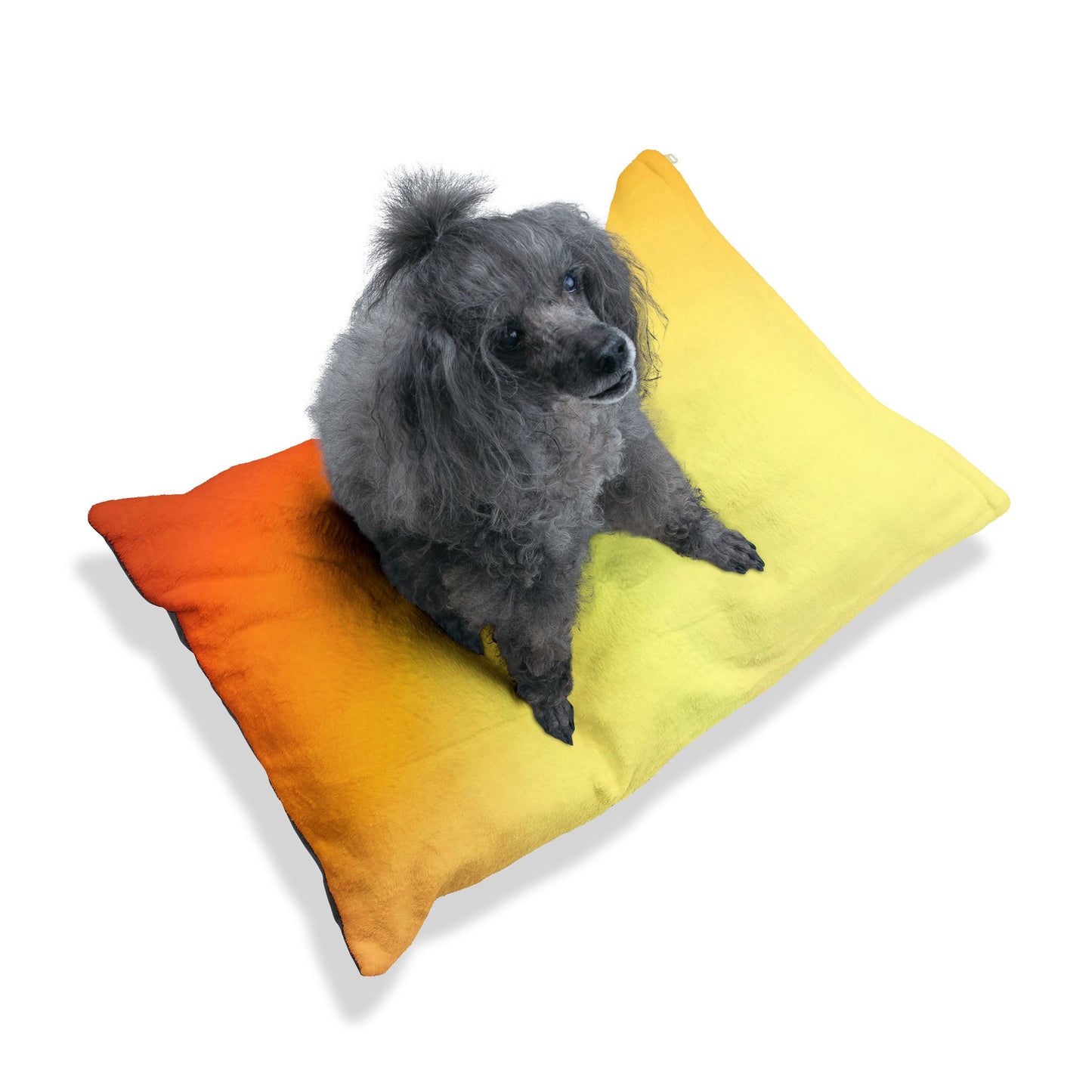 Phoenix Fade 28" × 18" Pet Bed
