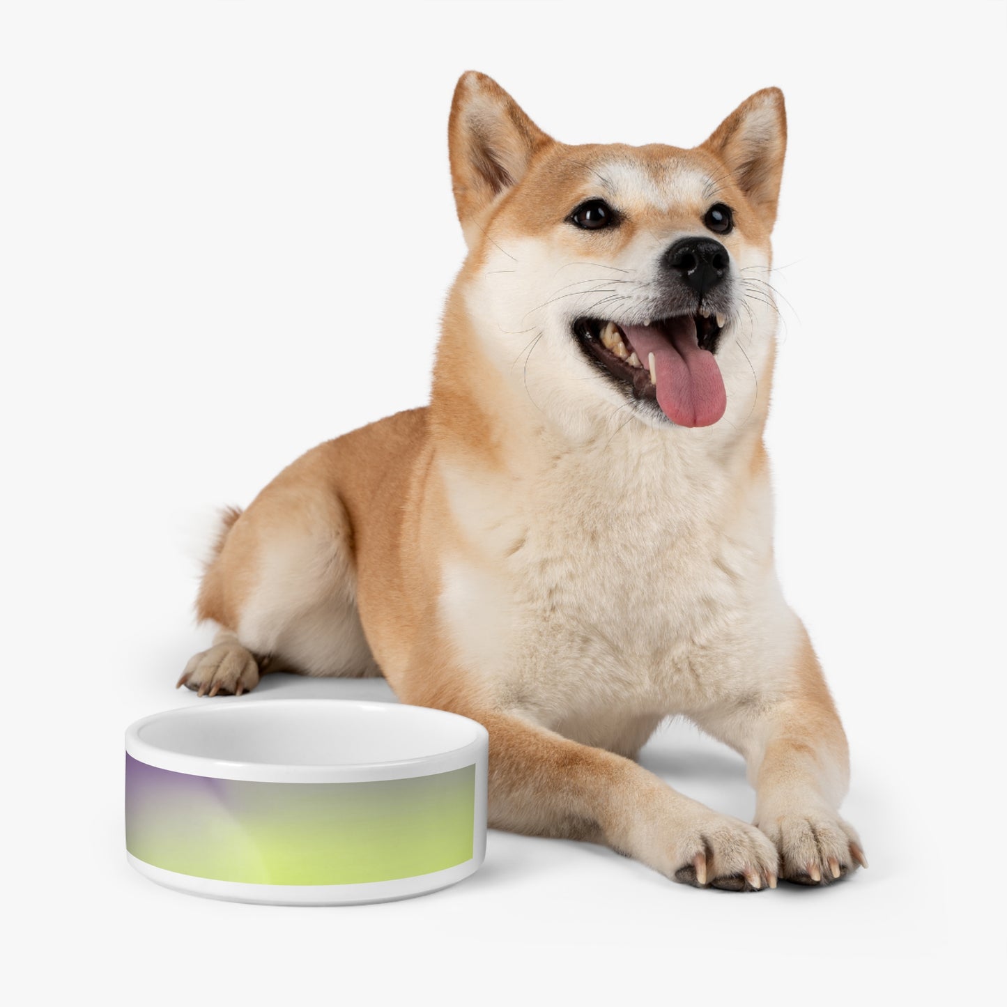 Purple Golden Fade 16 oz Pet Bowl
