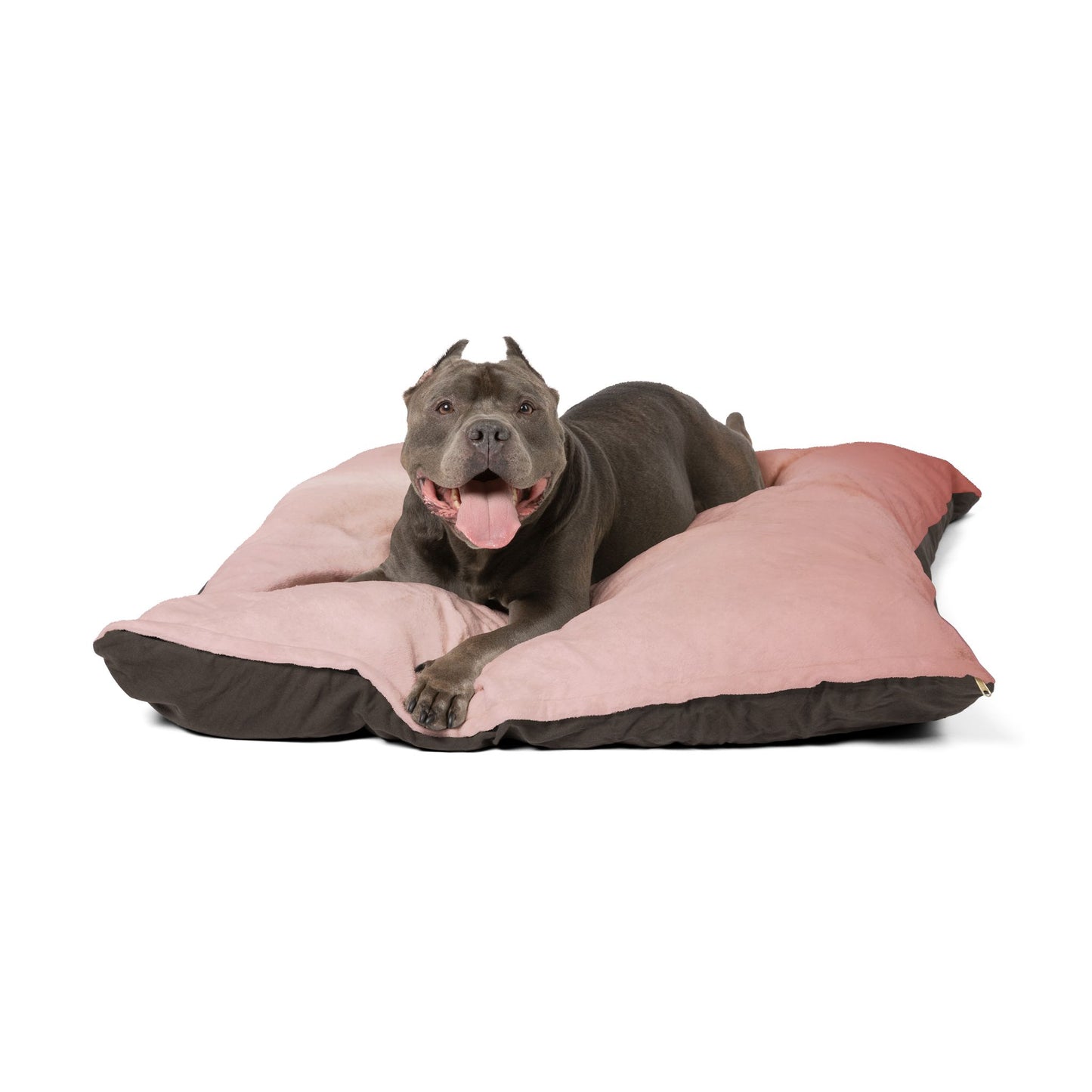 Rose Red Fade 50" × 40" Pet Bed