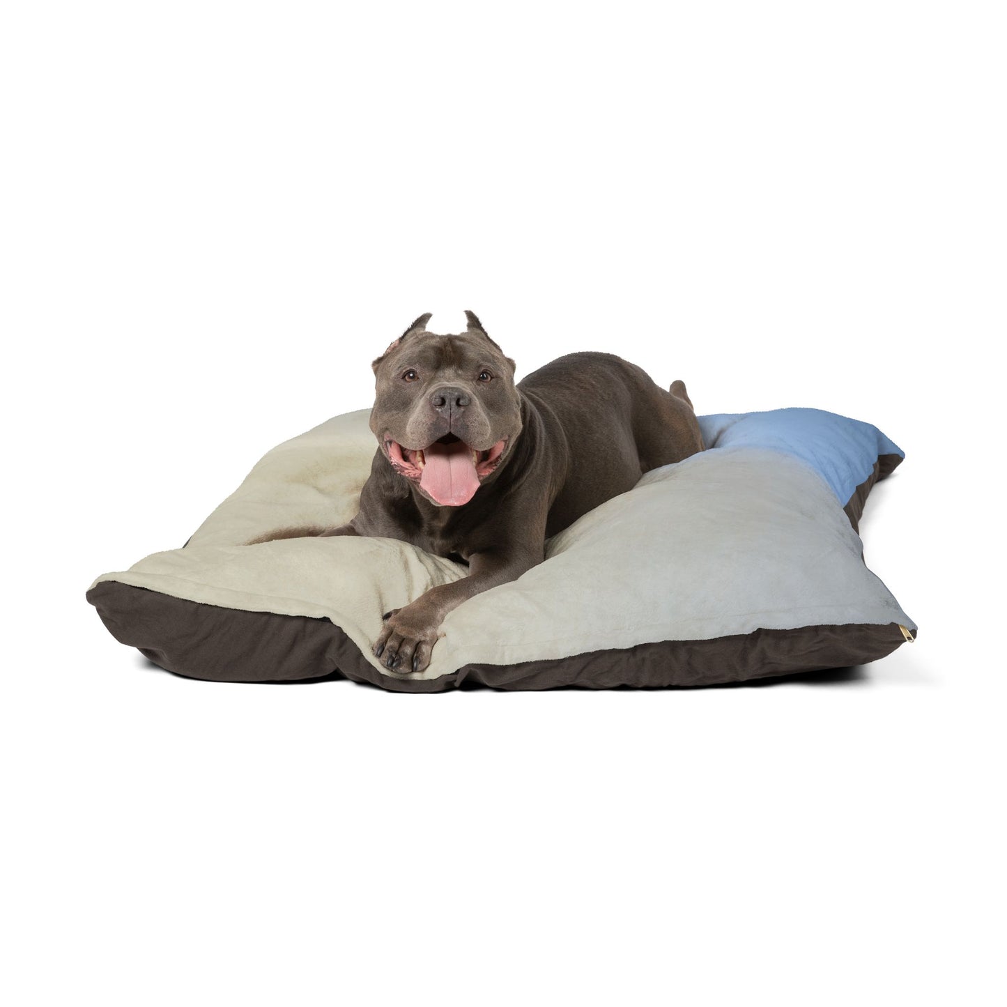 Cobalt Fade 50" × 40" Pet Bed