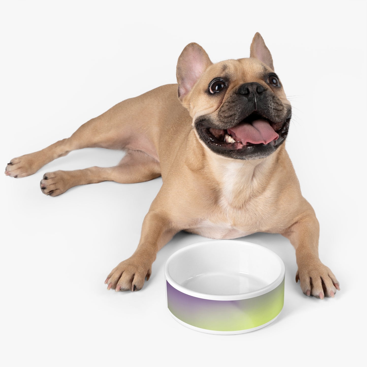 Purple Golden Fade 16 oz Pet Bowl