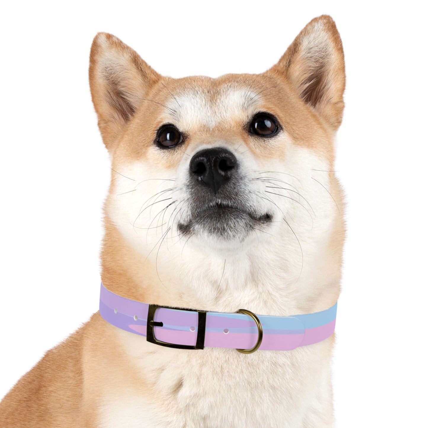 Pastel Purple and Mauve Patches Medium Dog Collar