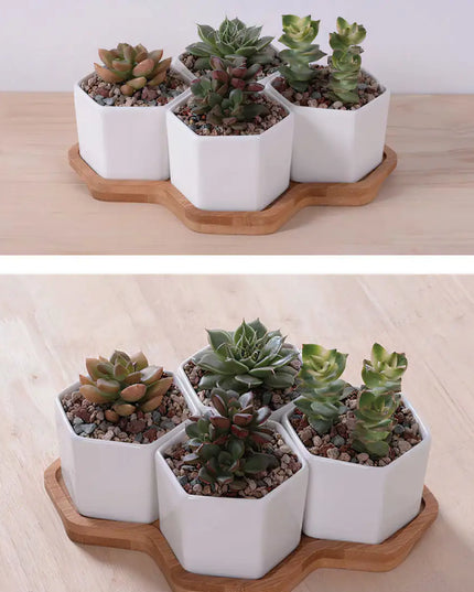 Beehive Planter