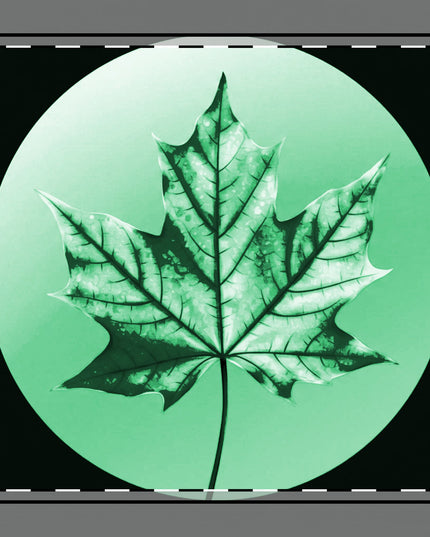 Mint Green Maple Leaf 10" x 10" Cotton Twill Napkin