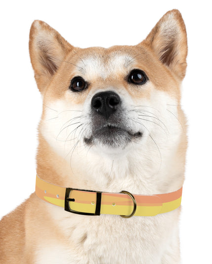 Pastel Bright Oranges Patches Large Dog Collar