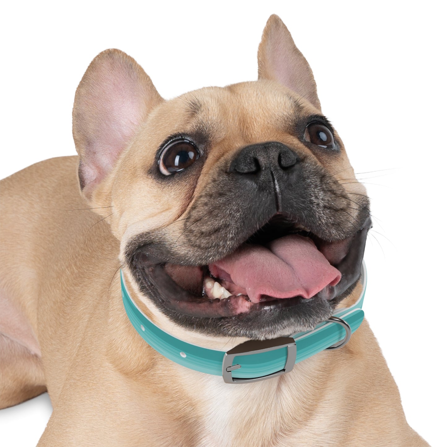 Tif Green Wavey Small Dog Collar