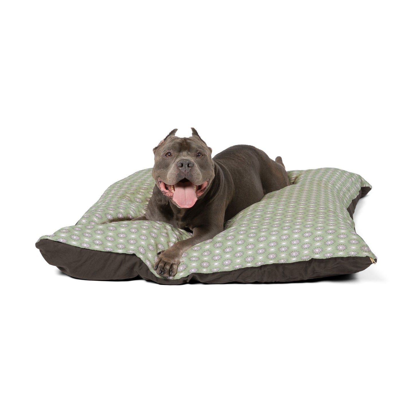 Olive Star-crossed Bodies Pet Bed, 50" × 40"