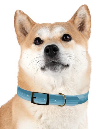 Sky Blue Wavey Large Dog Collar