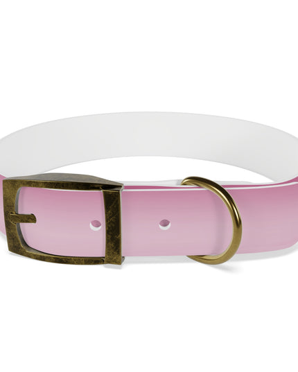 Pink Blush Fade Medium Dog Collar