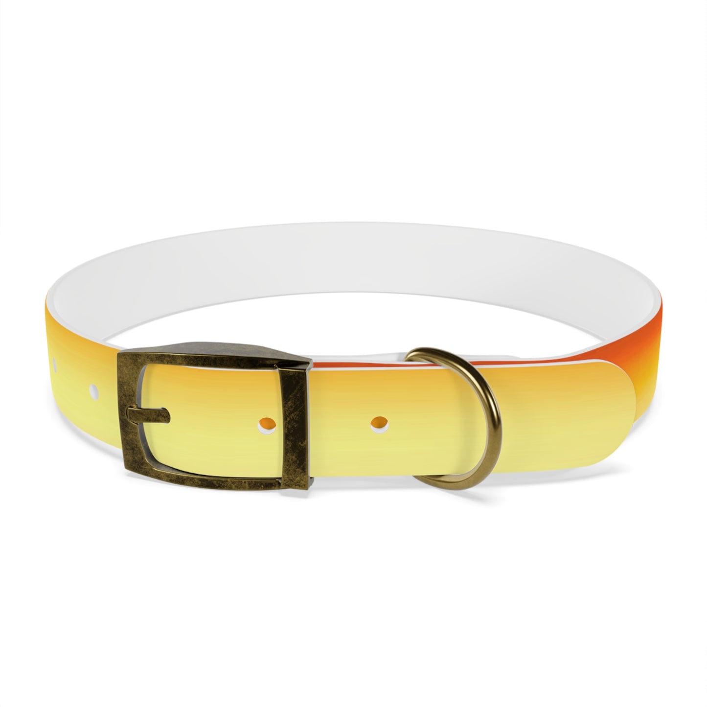 Phoenix Fade Large Dog Collar