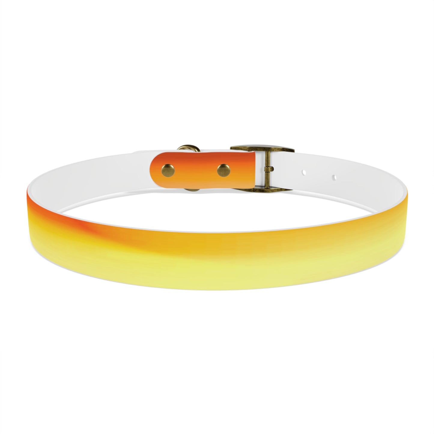 Phoenix Fade Extra Large Dog Collar