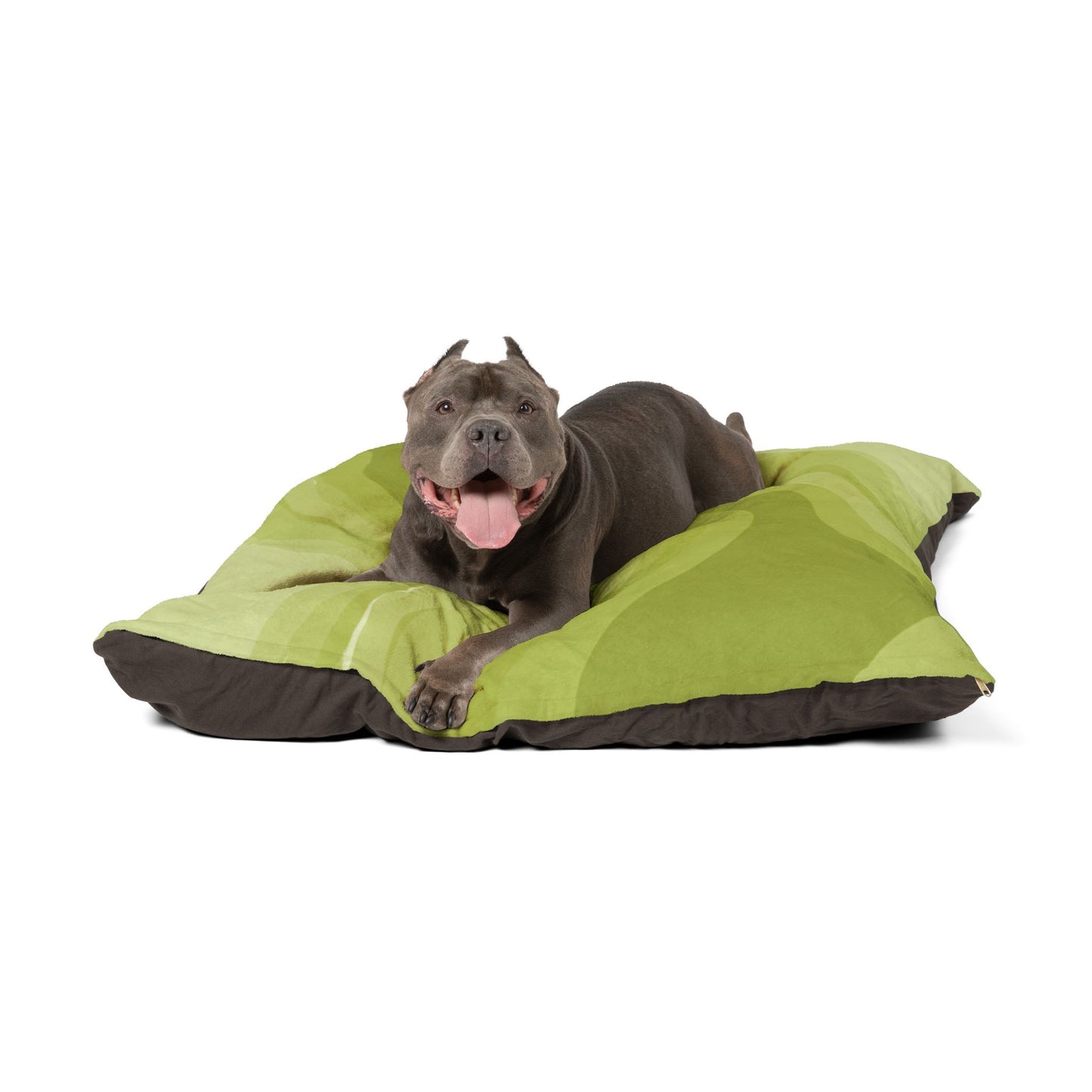 Lemon Wavey 50" × 40" Pet Bed