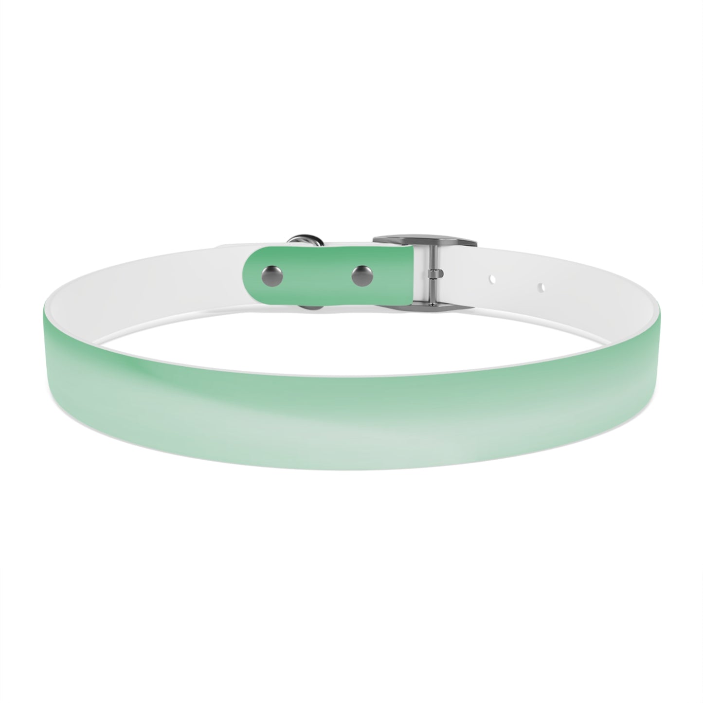 Mint Fade Extra Large Dog Collar