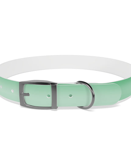 Mint Fade Extra Large Dog Collar