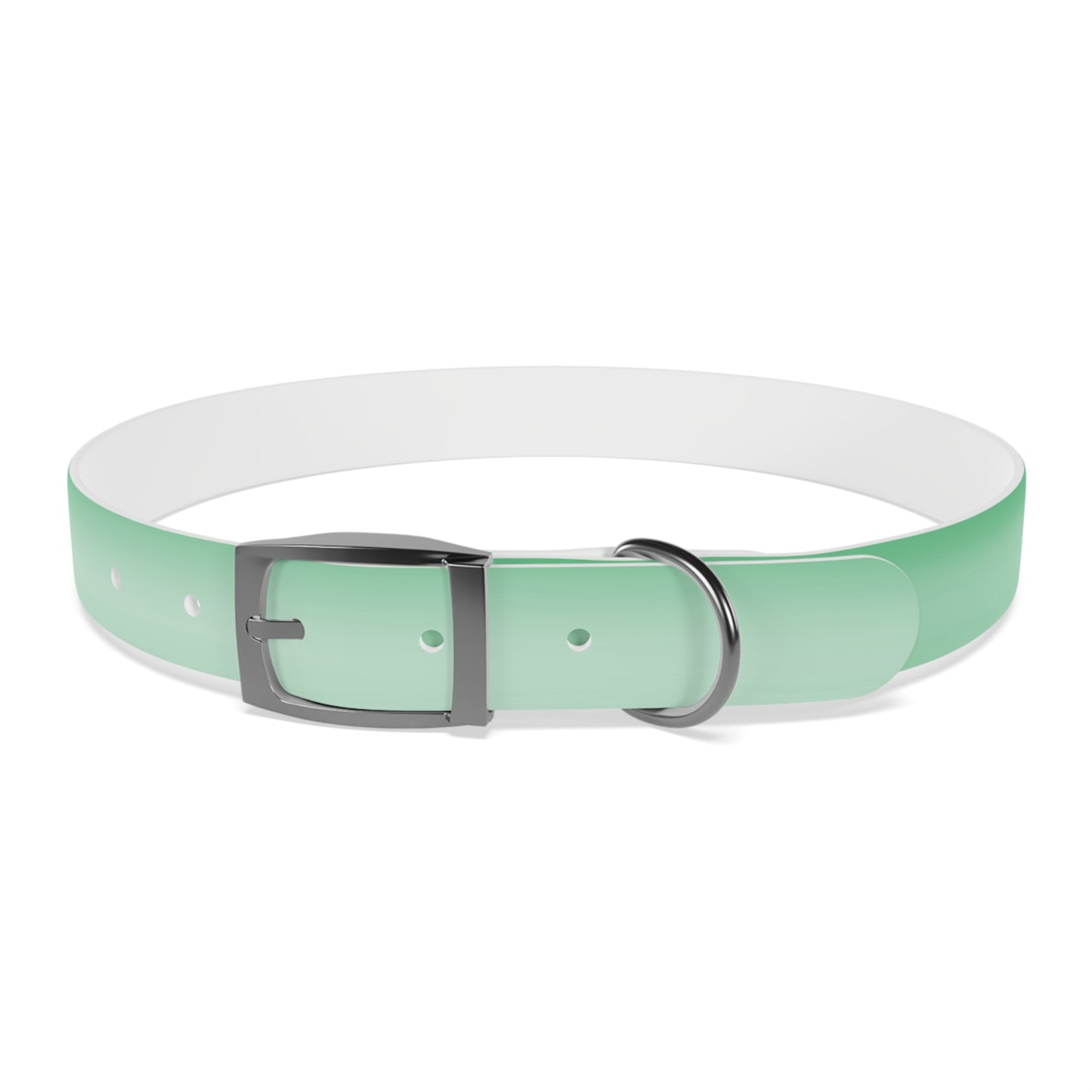Mint Fade Extra Large Dog Collar
