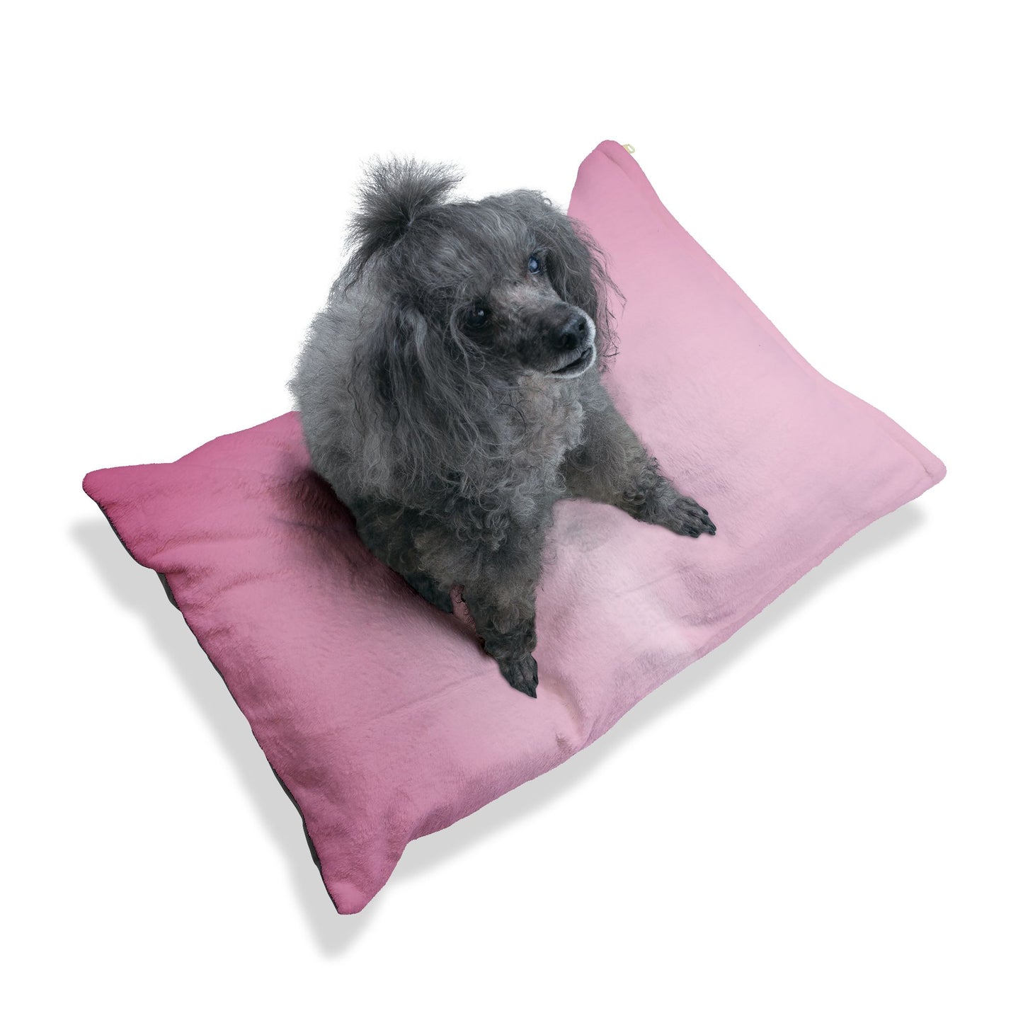 Pink Blush Fade 50" × 40" Pet Bed