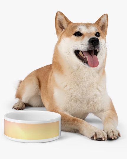 Hot Peach Fade 16 oz Pet Bowl