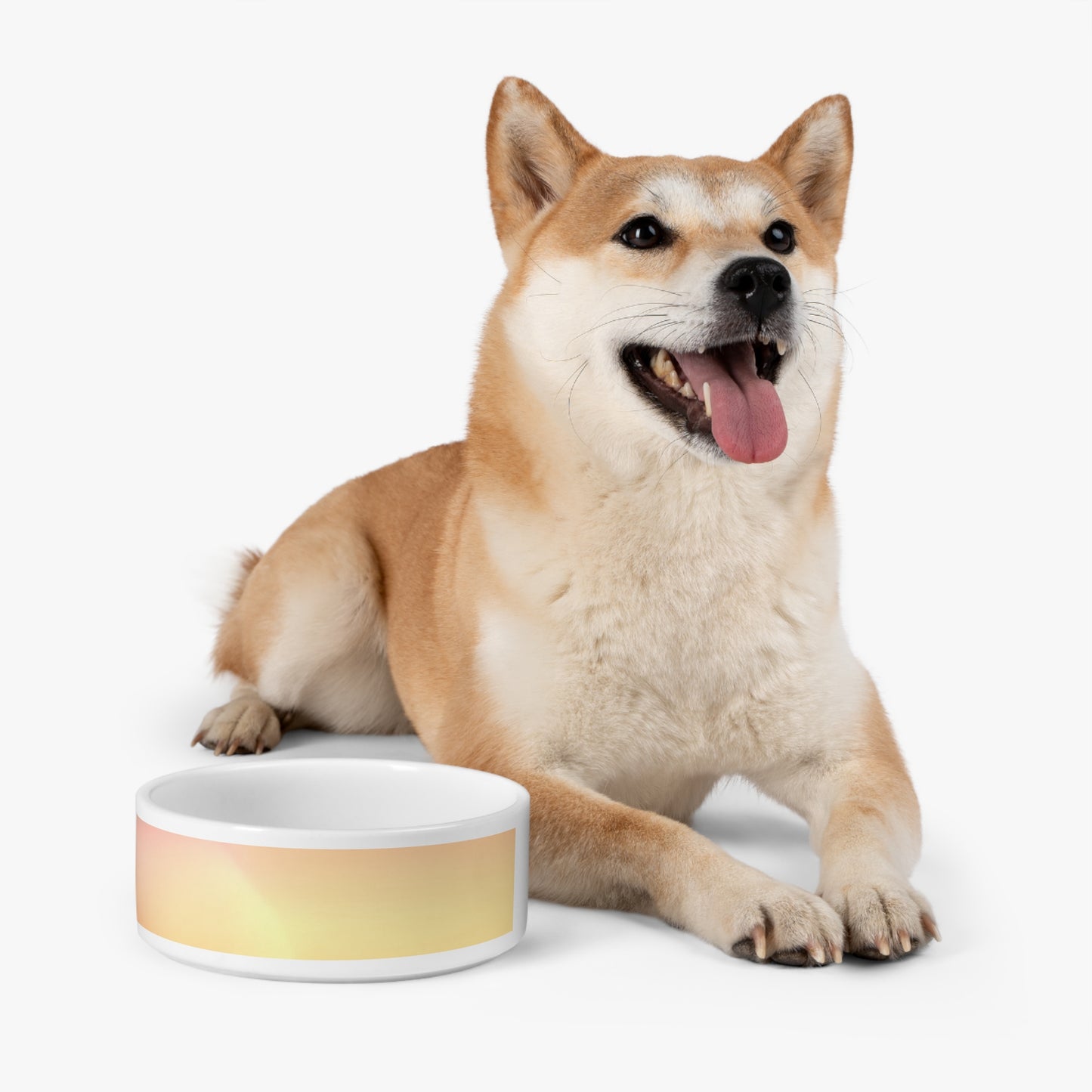 Hot Peach Fade 16 oz Pet Bowl