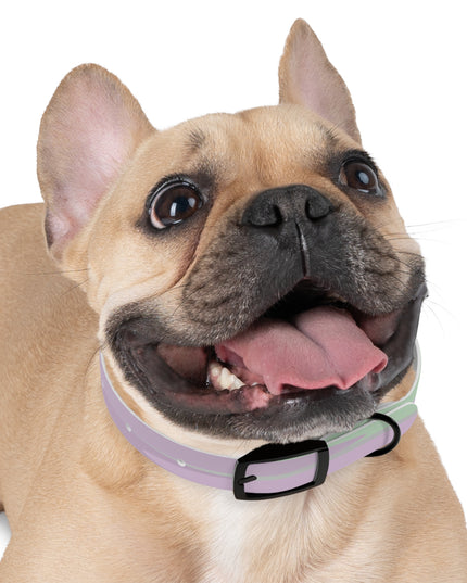 Pastel Lavender Purple and Soft Green Patches Small Dog Collar