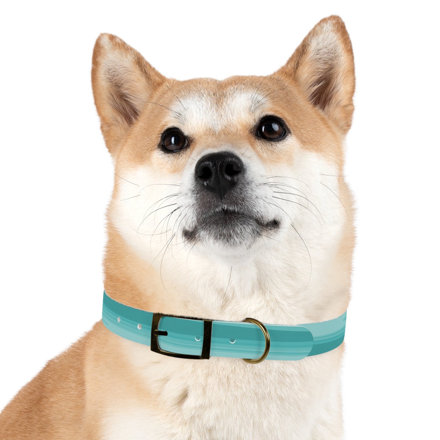 Tif Green Wavey Extra Large Dog Collar