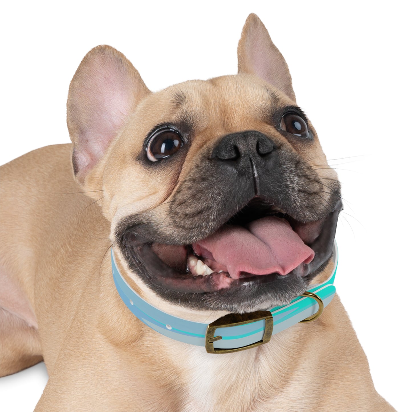Pastel Tan and Tif Patches Small Dog Collar