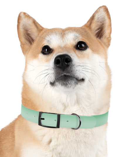 Mint Fade Medium Dog Collar