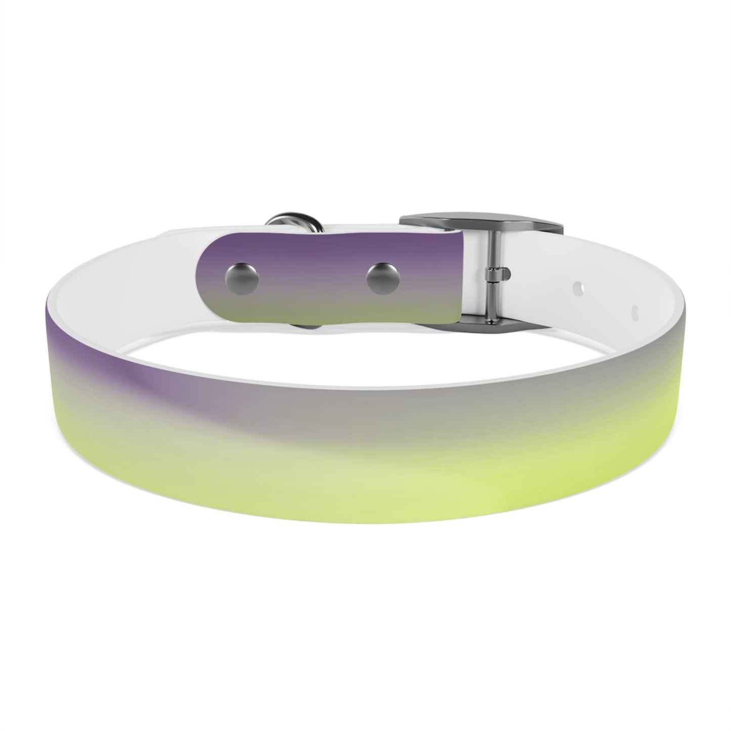 Purple Golden Fade Medium Dog Collar