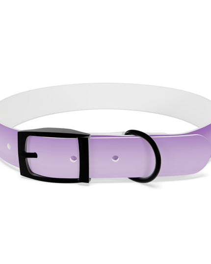 Soft Lavender Fade Large Dog Collar