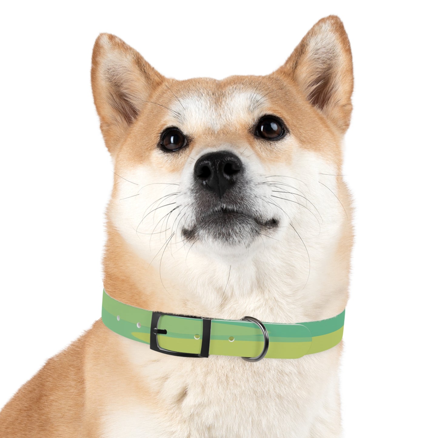 Pastel Green Patches Medium Dog Collar