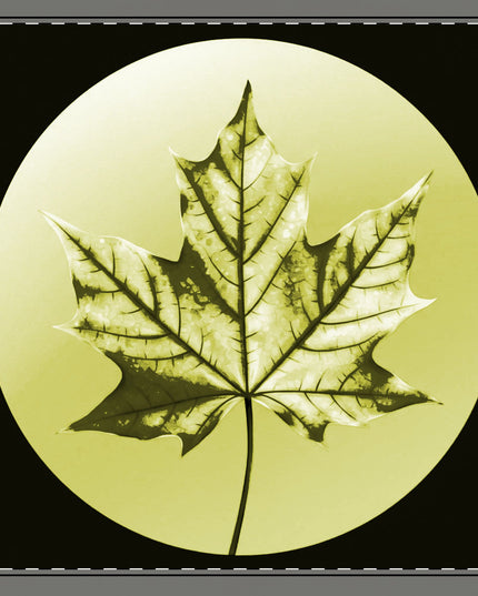 Lemongrass Maple Leaf 22" x 22" Cotton Twill Napkin