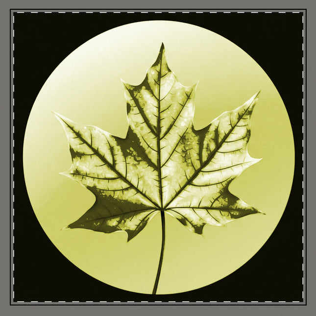 Lemongrass Maple Leaf 22" x 22" Cotton Twill Napkin