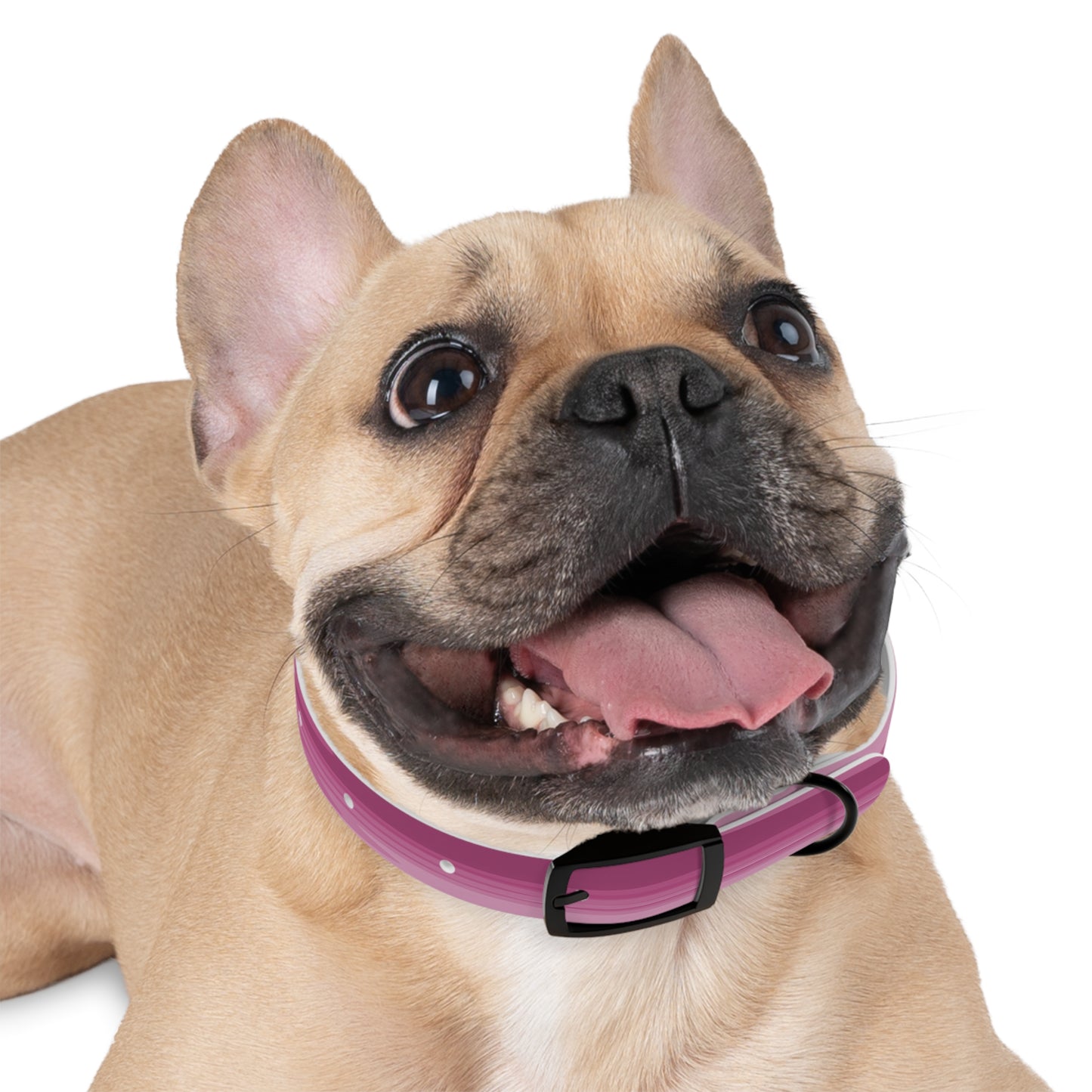 Wavey Purple Wavey Small Dog Collar