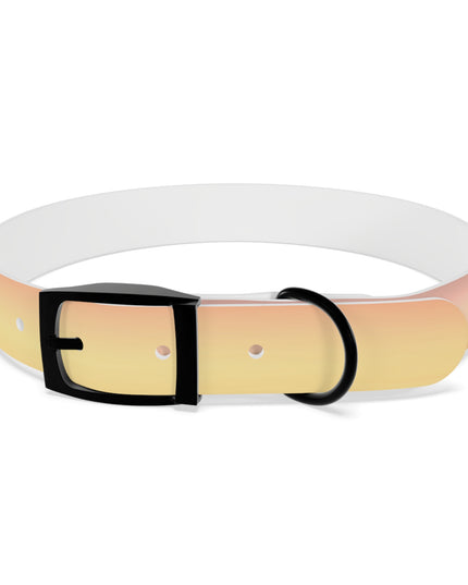 Hot Peach Fade Large Dog Collar