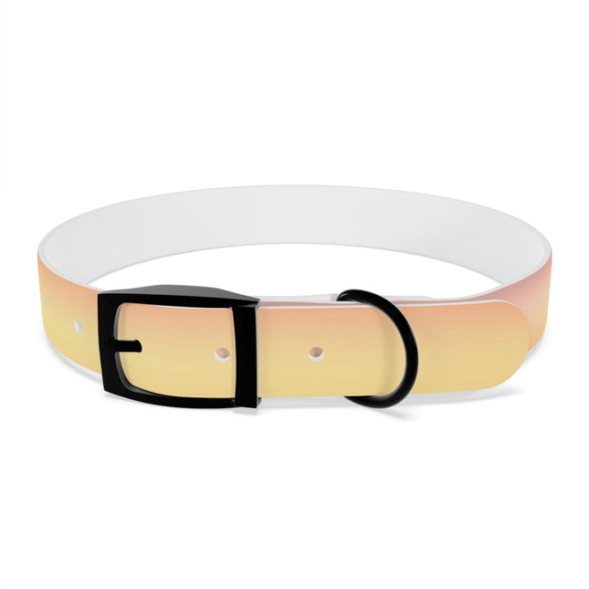 Hot Peach Fade Large Dog Collar