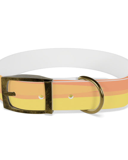 Pastel Bright Oranges Patches Medium Dog Collar
