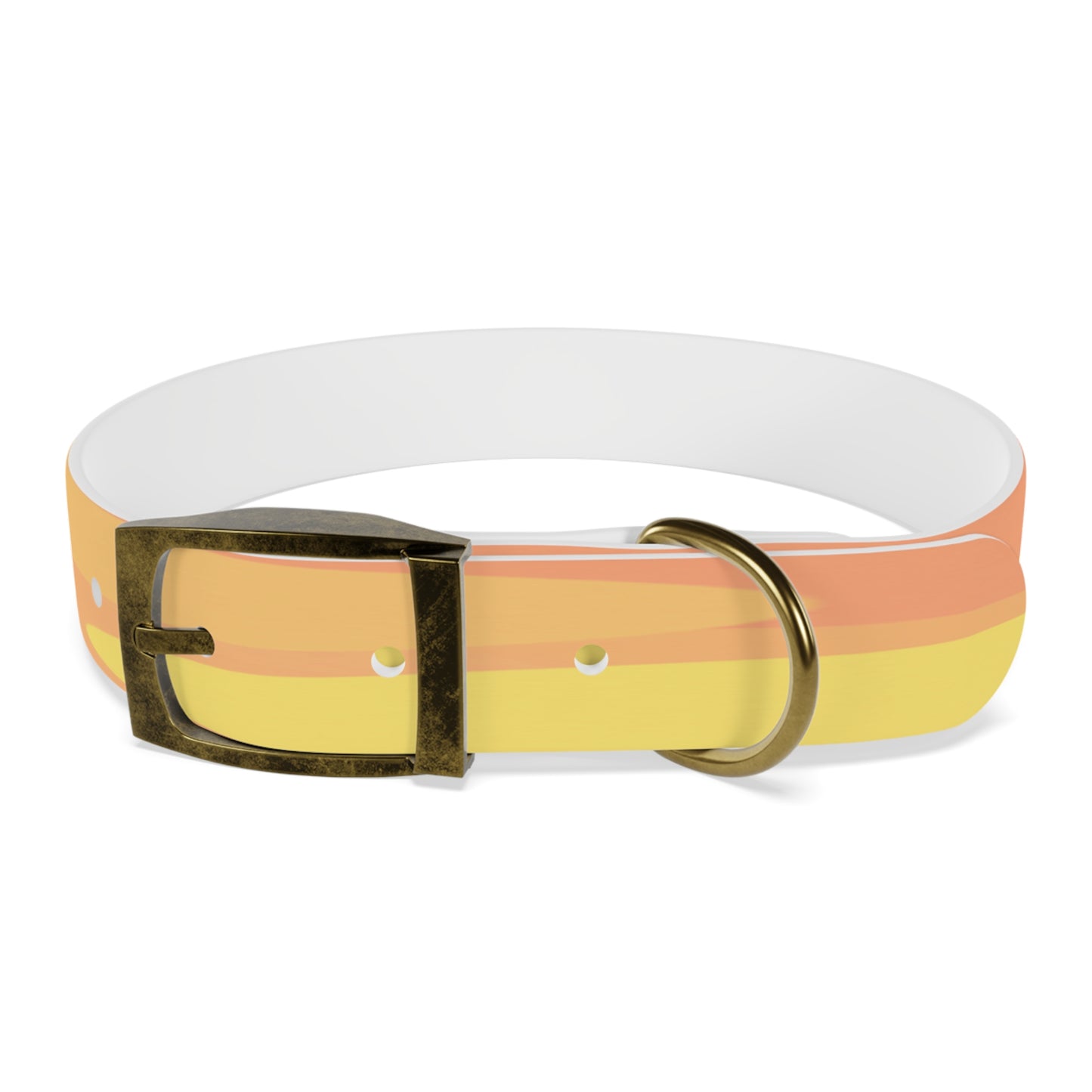 Pastel Bright Oranges Patches Medium Dog Collar