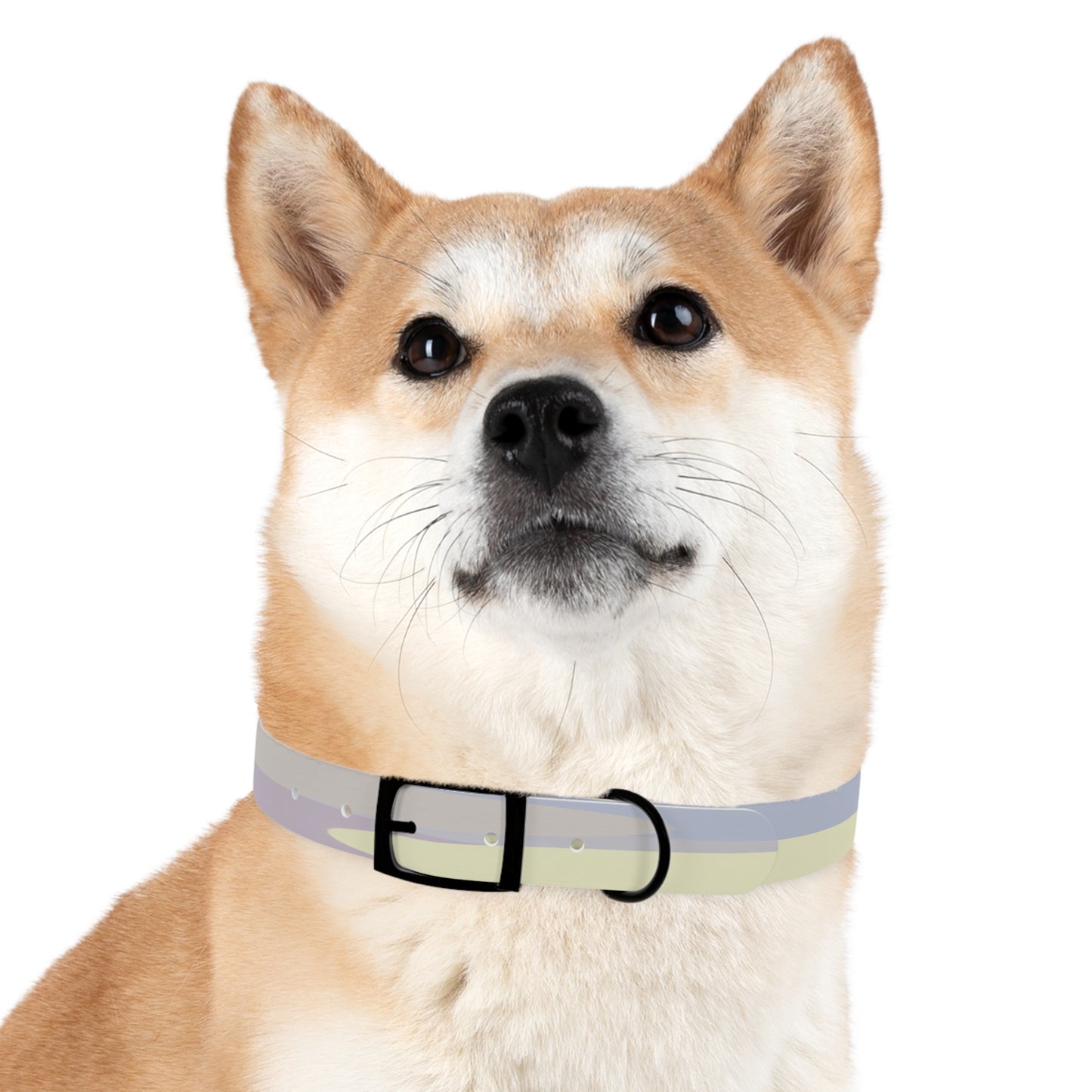 Pastel Soft Blue and Soft White Patches Medium Dog Collar