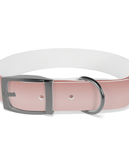 Rose Red Fade Medium Dog Collar